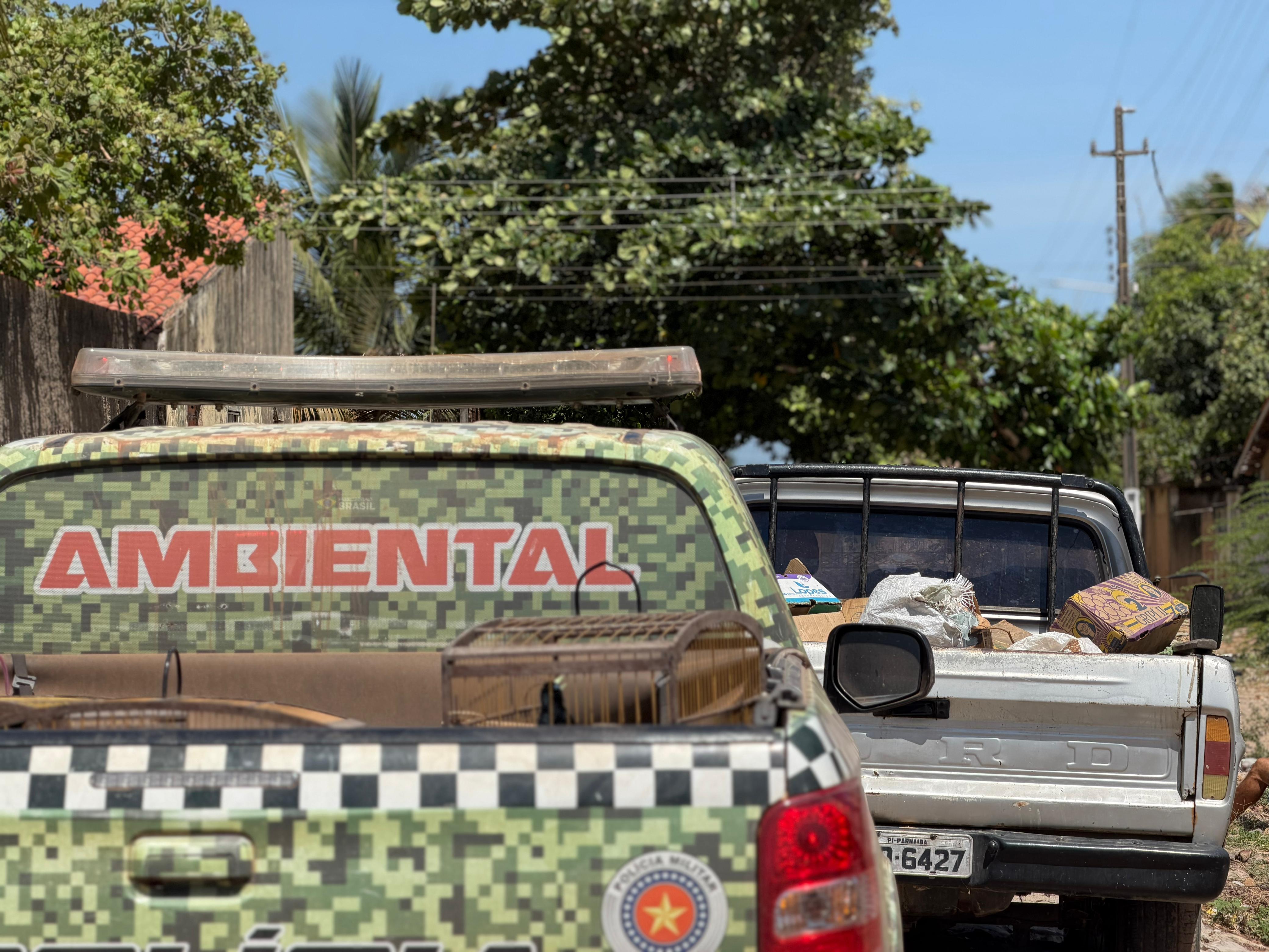 Prefeitura de Parnaíba apoia ação da Polícia Militar em flagrante de descarte irregular