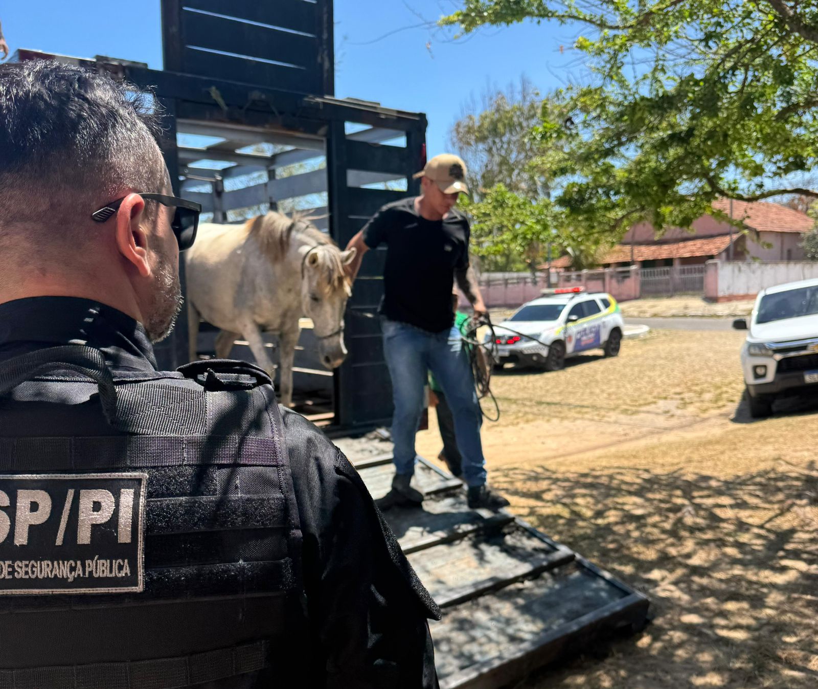 Seis são conduzidos e mais de 20 animais são apreendidos na Operação Porteira Fechada no litoral do Piauí