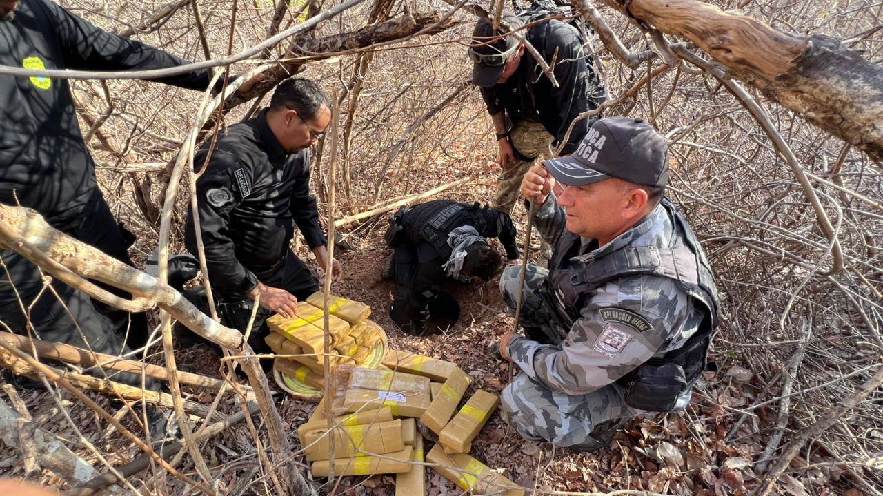 Operação no litoral do Piauí apreende grande quantidade de drogas em dois dias e desarticula ponto de armazenamento em área rural