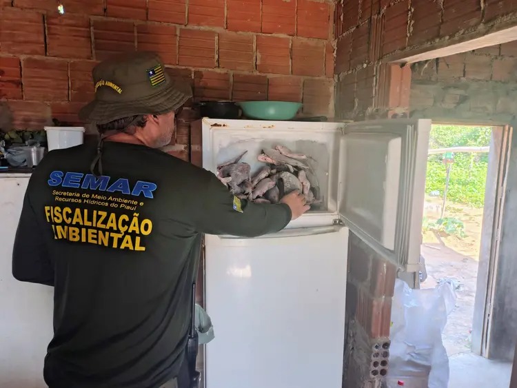 Fiscalização da Semarh flagra pescador em atividade irregular e apreende 66 quilos de peixe durante piracema no Piauí