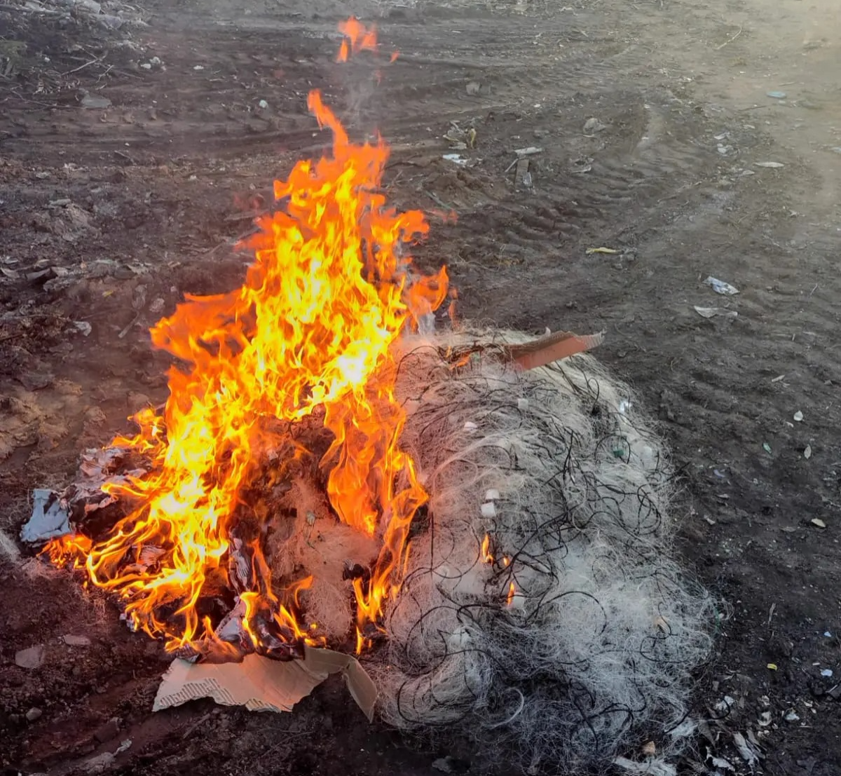 Fiscalização da Semarh flagra pescador em atividade irregular e apreende 66 quilos de peixe durante piracema no Piauí