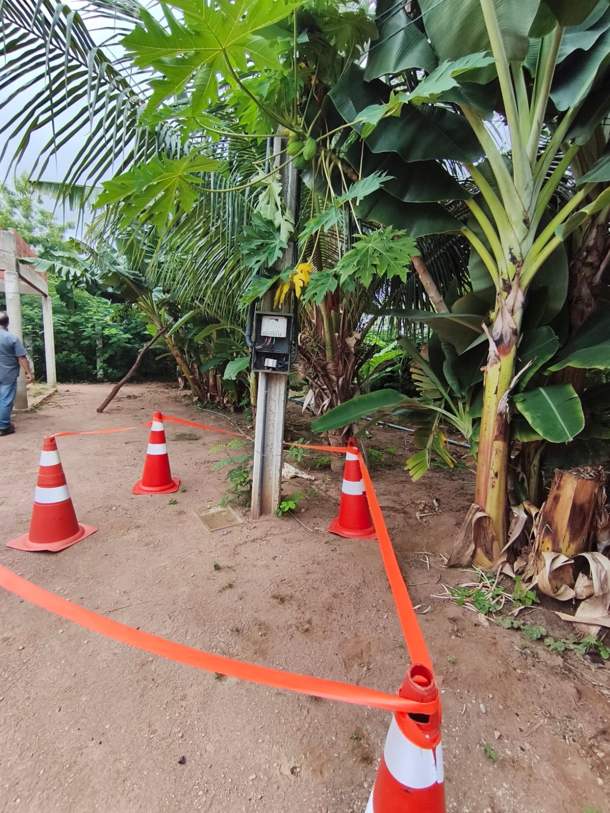 Operação da DEBESP flagra furto de energia em quatro municípios do Sul do Piauí