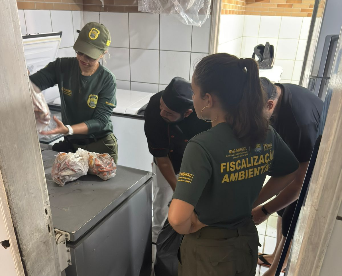 Fiscalização apreende 96 caranguejos-uçá em comércio no litoral do Piauí durante período de defeso