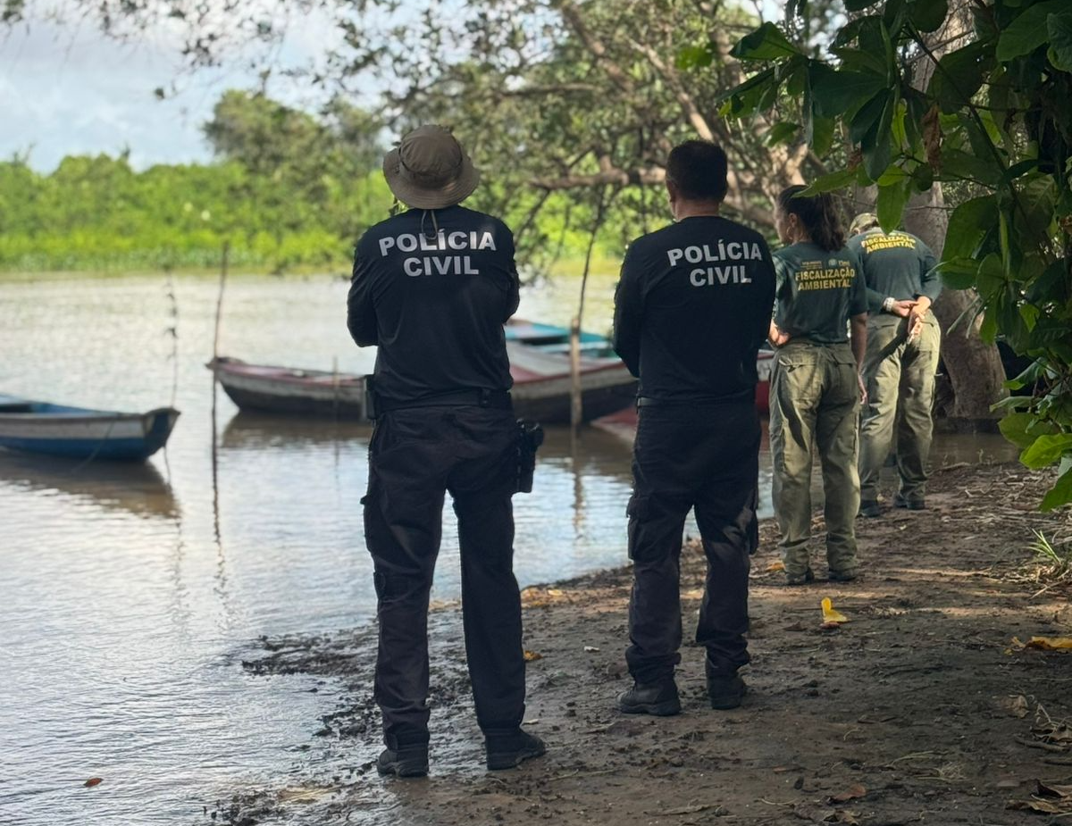 Fiscalização apreende 96 caranguejos-uçá em comércio no litoral do Piauí durante período de defeso