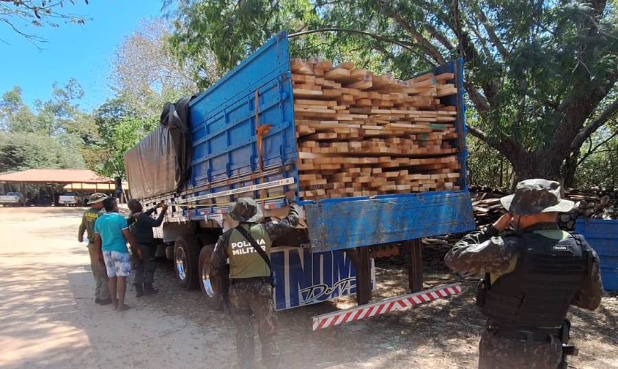 Operação Espera apreende mais de 216 m³ de madeira, aves silvestres e armas no Piauí