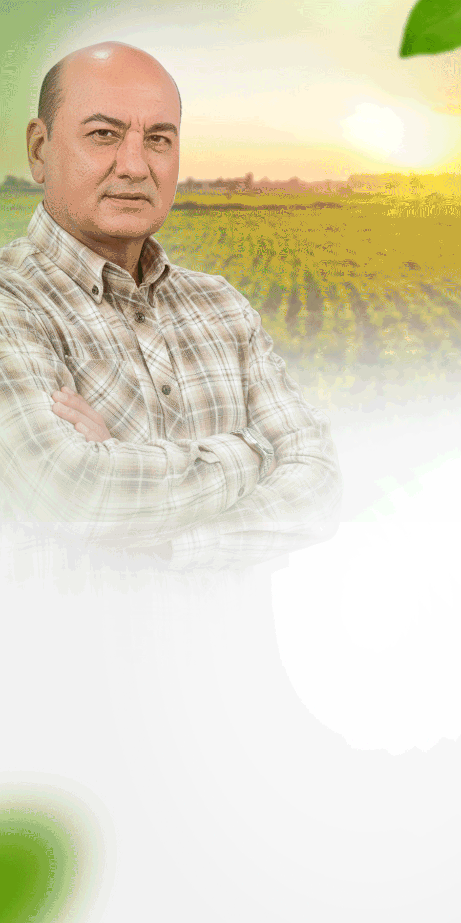 Antena Rural estreia 2