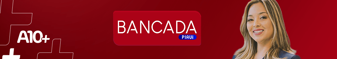 Bancada Piauí